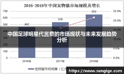 中国足球明星代言费的市场现状与未来发展趋势分析