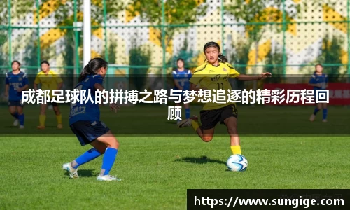 成都足球队的拼搏之路与梦想追逐的精彩历程回顾